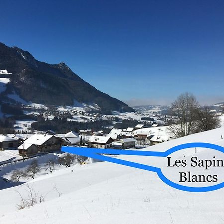 Apartmán Les Sapins Blancs Vacheresse Exteriér fotografie