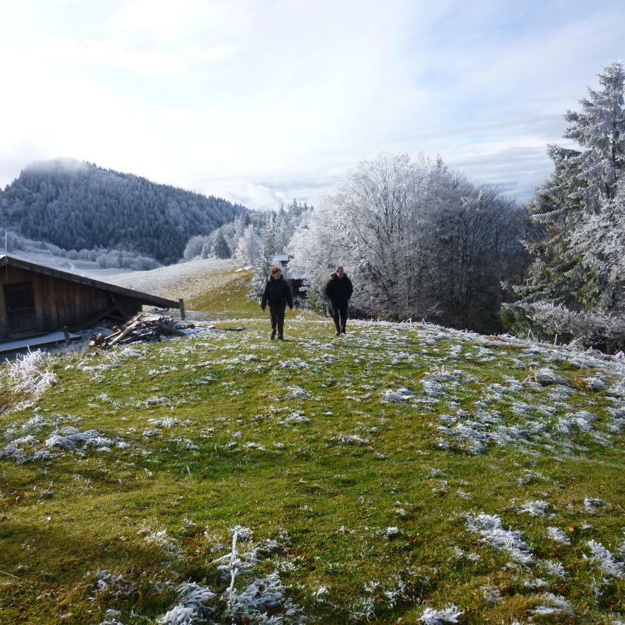 Apartmán Les Sapins Blancs Vacheresse Exteriér fotografie