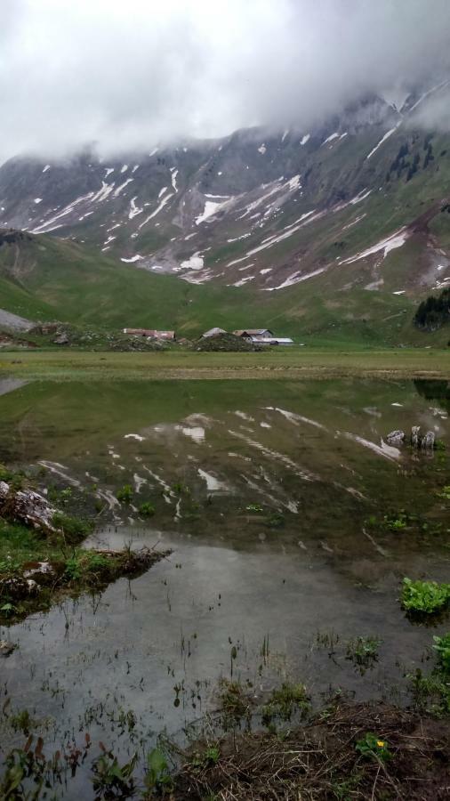 Apartmán Les Sapins Blancs Vacheresse Exteriér fotografie